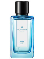GalvanoLiori Туалетная вода мужская Signature Aqua Sky 100мл