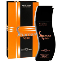 Туалетная вода мужская Shaman Spirit 100мл